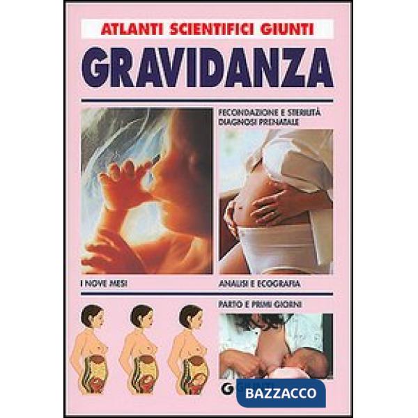 Papà Riccio e il succo di mela. E altre storie. Ediz. illustrata