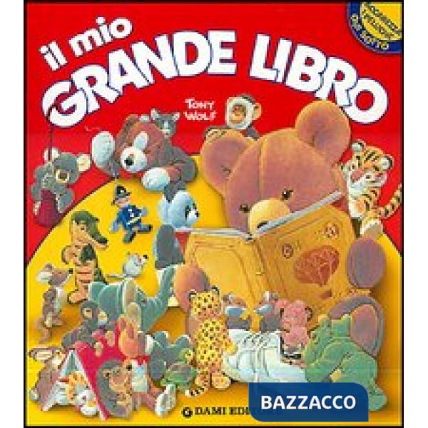 Mio grande libro (Il)