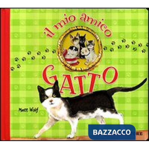 Mio amico gatto (Il)