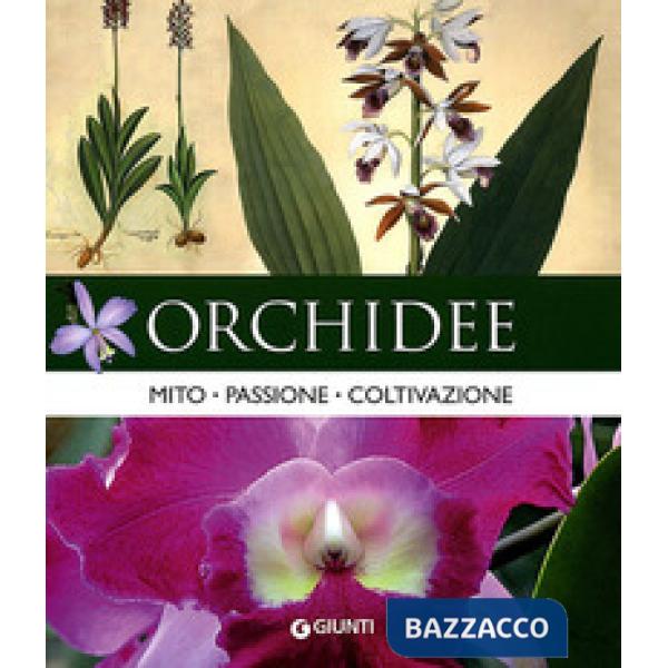 Orchidee. Mito, passione, coltivazione