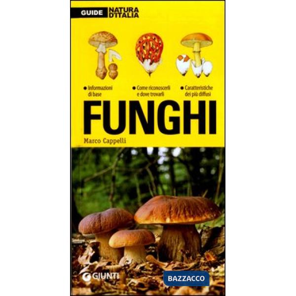 Funghi