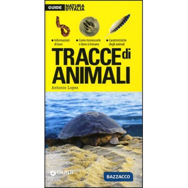Tracce di animali