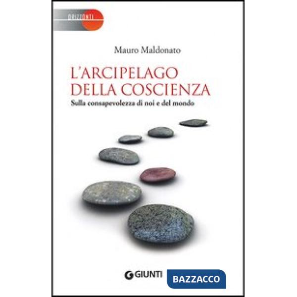 Arcipelago della coscienza. Sulla consapevolezza di noi e del mondo (L')