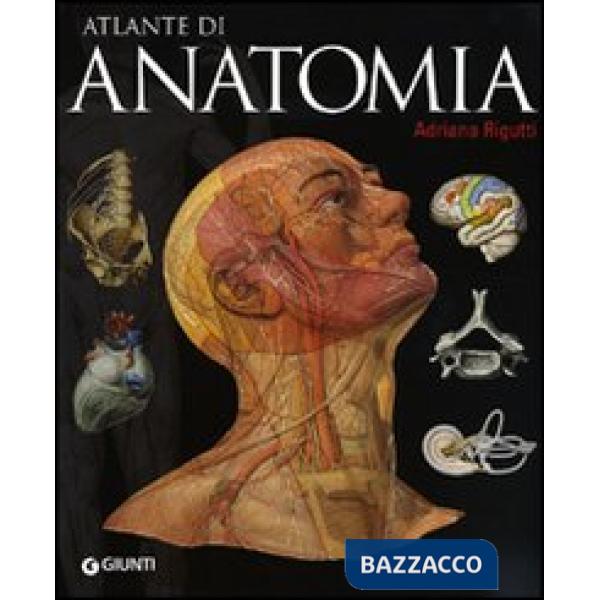 Atlante di anatomia