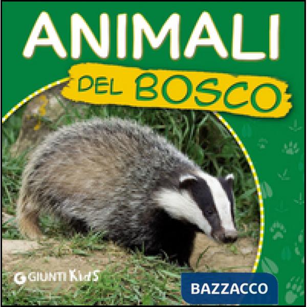 Animali del bosco. Ecco gli animali