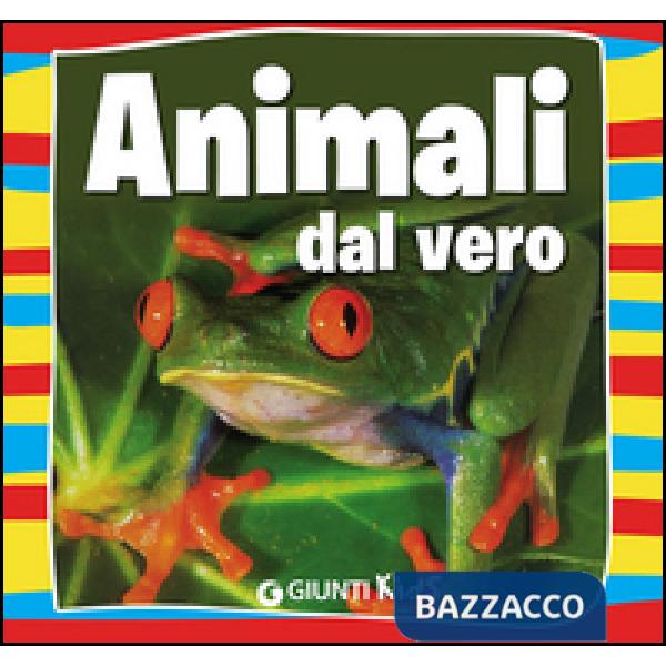 Animali dal vero
