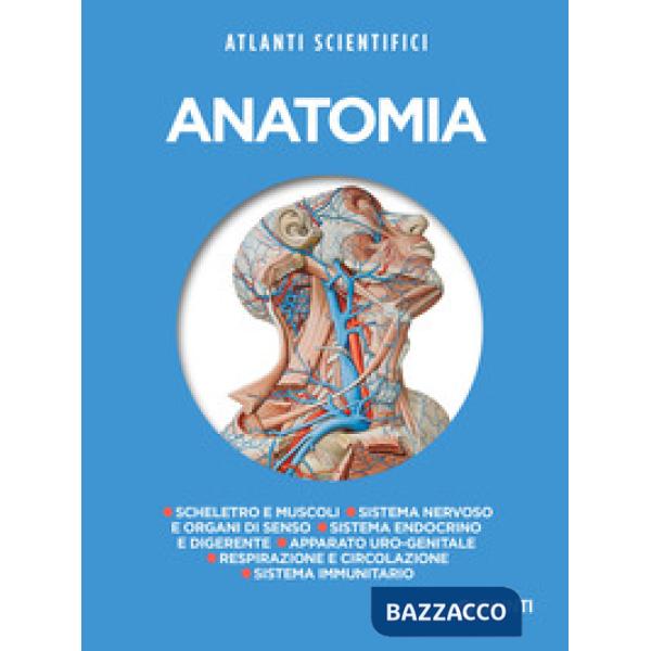 Anatomia