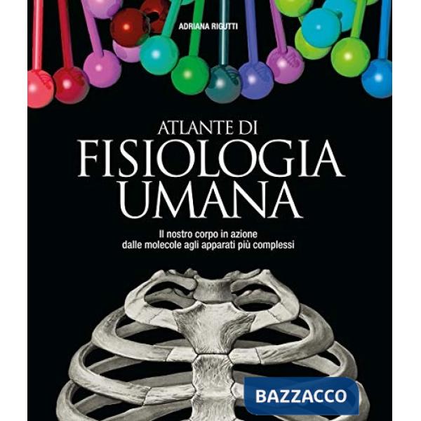 Atlante di fisiologia umana
