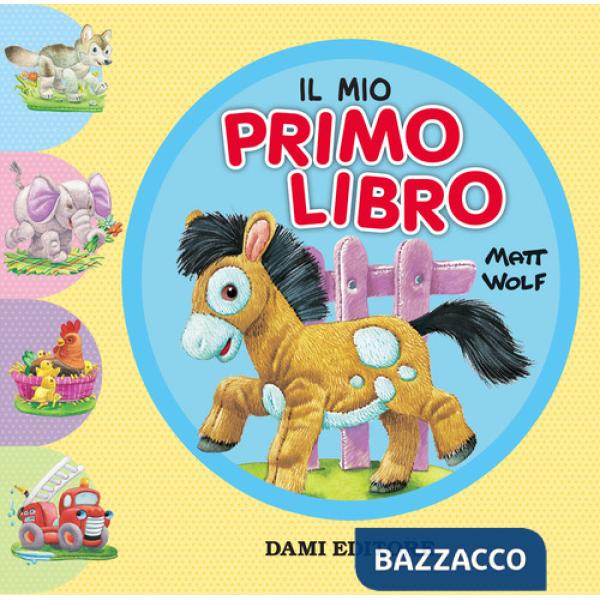 Mio primo libro (Il)