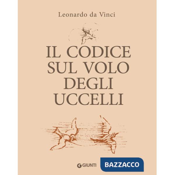 Codice sul volo degli uccelli. Ediz. a colori (Il)