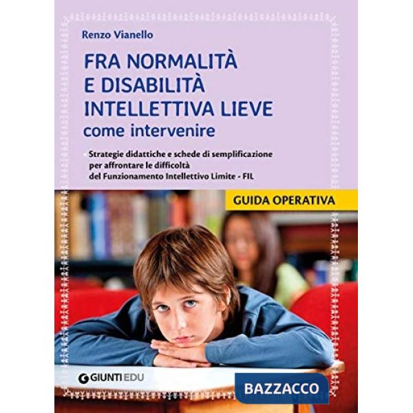 Fra normalità e disabilità intellettiva lieve: come intervenire. Strategie didattiche e schede di semplificazione per affrontare