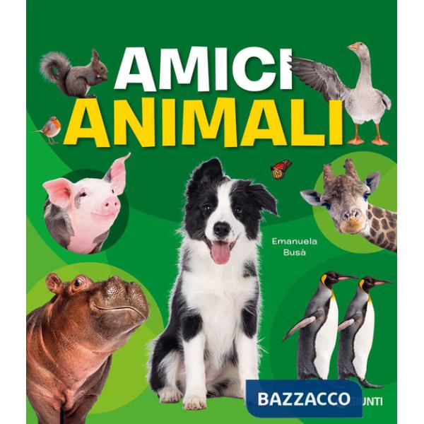 Amici animali. Con adesivi. Ediz. a colori
