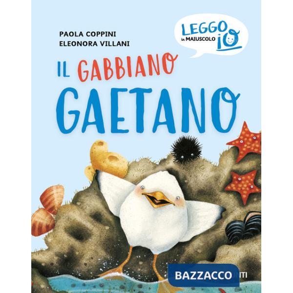 Gabbiano Gaetano. Ediz. a colori (Il)