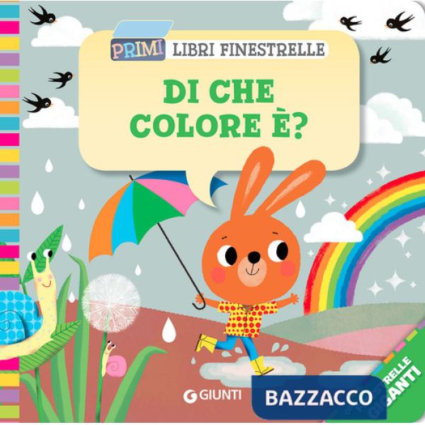 Di che colore è? Ediz. a colori