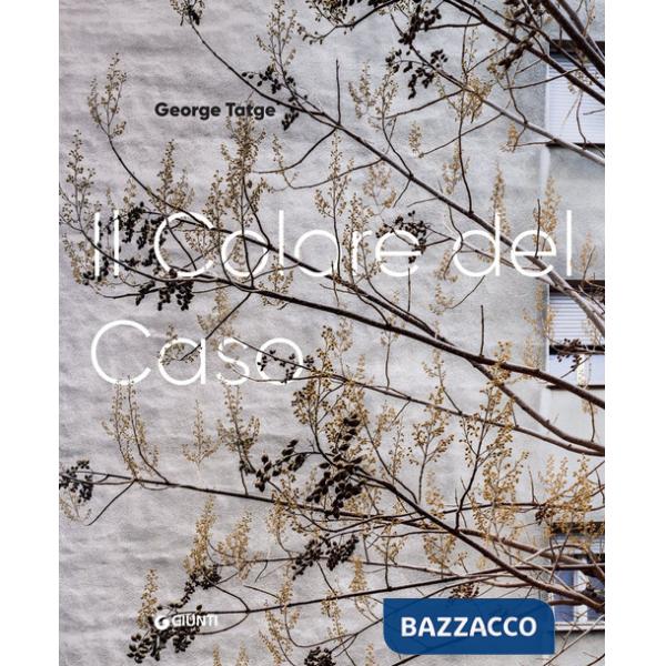 George Tatge. Il colore del caso