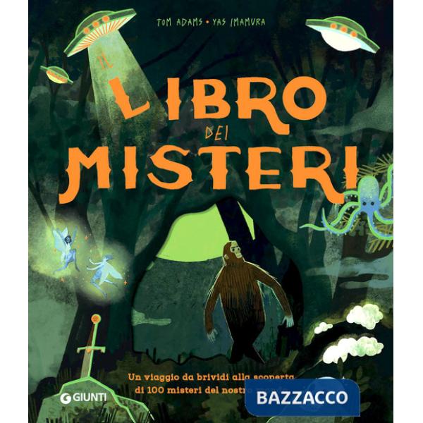 Libro dei misteri. Ediz. a colori (Il)