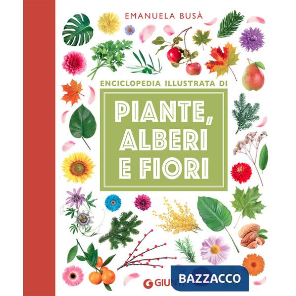Piante, alberi e fiori. Enciclopedia illustrata