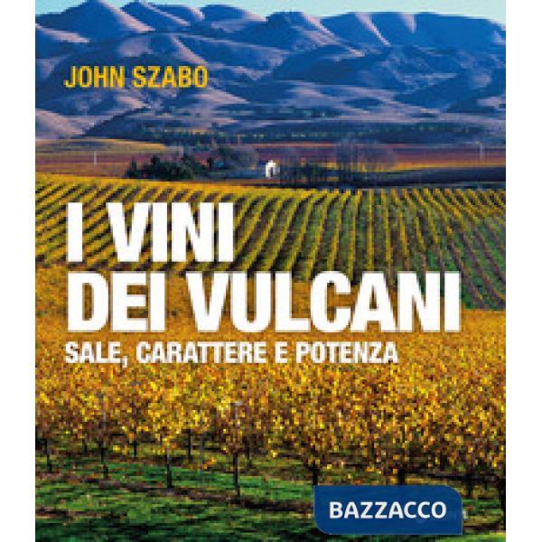 Vini dei vulcani. Sale, carattere e potenza (I)