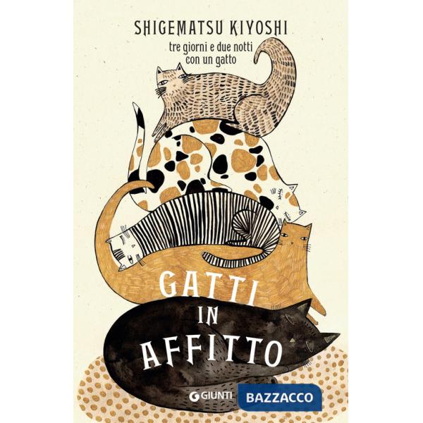 Gatti in affitto. Tre giorni e due notti con un gatto