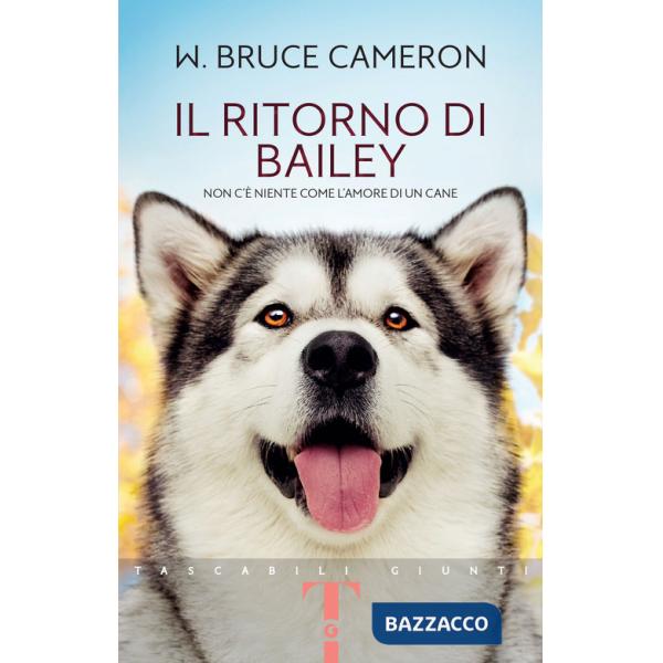 Ritorno di Bailey (Il)