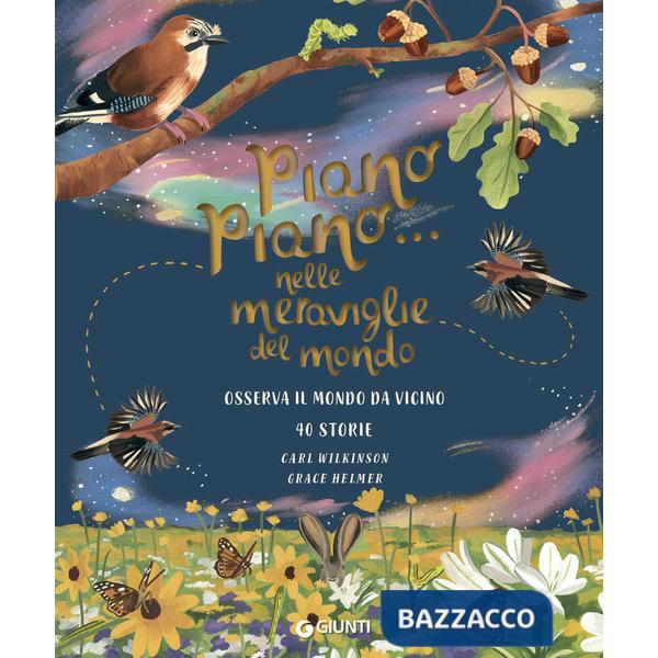 Piano piano... Nelle meraviglie mondo. Osserva il mondo da vicino. Ediz. a colori