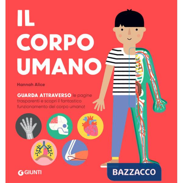 Corpo umano. Ediz. a colori (Il)