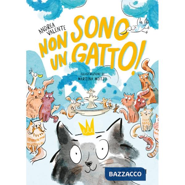 Non sono un gatto!