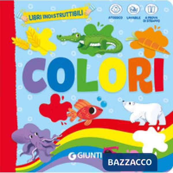 Colori. Ediz. a colori