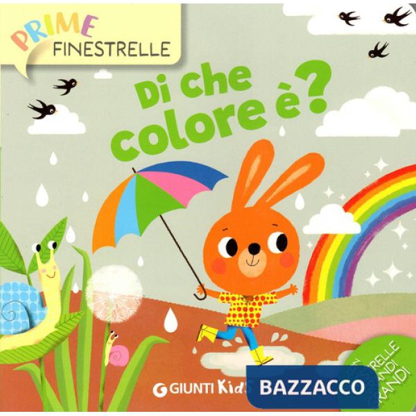Di che colore è? Ediz. a colori