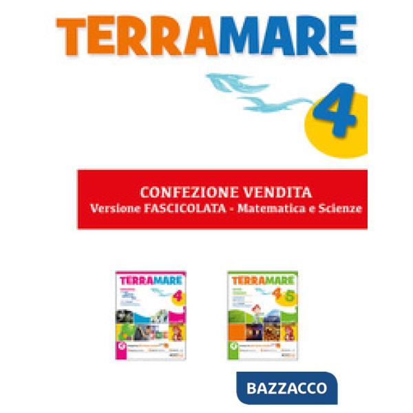 TERRAMARE MATEMATICA 4