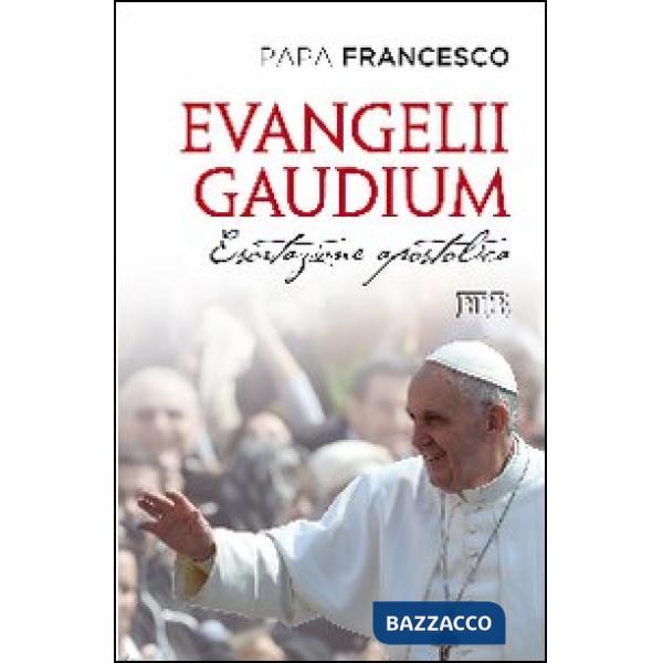 Evangelii gaudium. Esortazione apostolica ai vescovi, ai presbiteri e ai diaconi, alle persone consacrate e ai fedeli laici sull