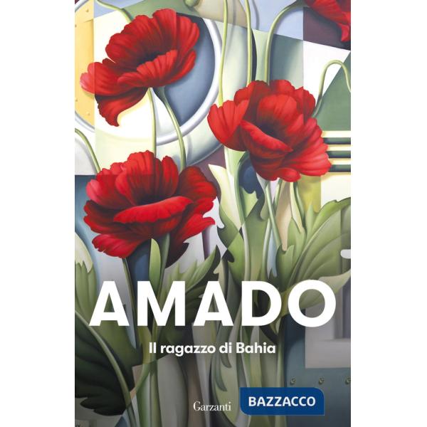 Ragazzo di Bahia (Il)