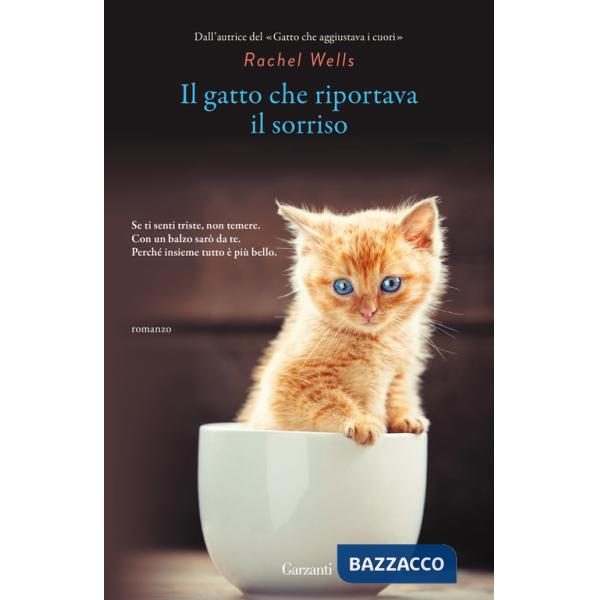 Gatto che riportava il sorriso (Il)