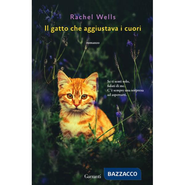 Gatto che aggiustava i cuori (Il)