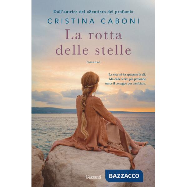 Rotta delle stelle (La)