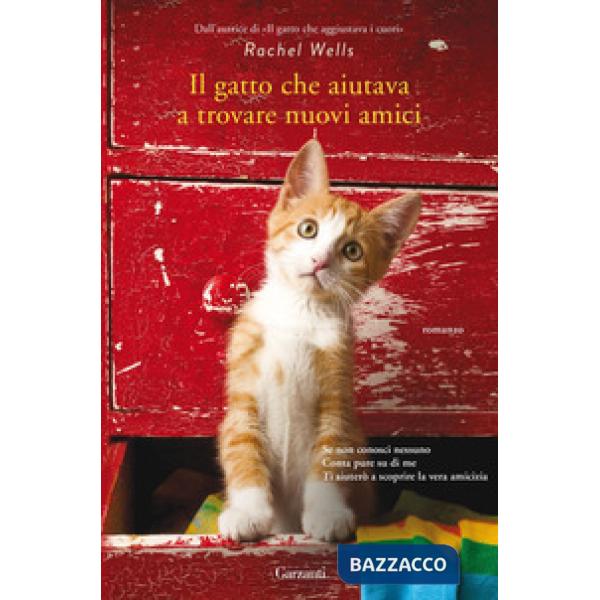 Gatto che aiutava a trovare nuovi amici (Il)