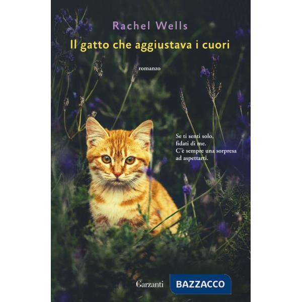 Gatto che aggiustava i cuori (Il)