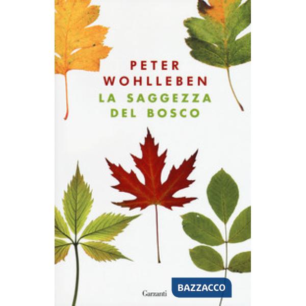 Saggezza del bosco (La)