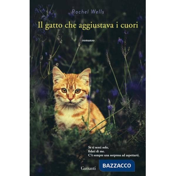 Gatto che aggiustava i cuori (Il)