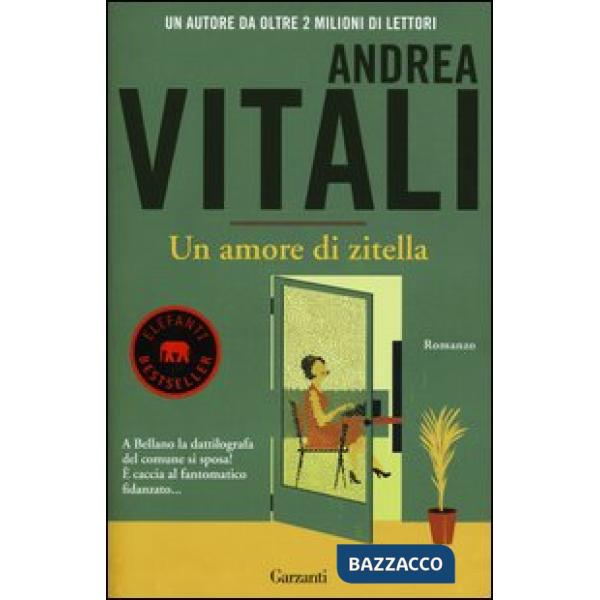 Amore di zitella (Un)