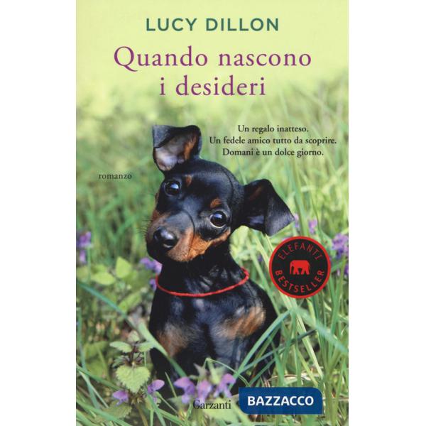 Quando nascono i desideri