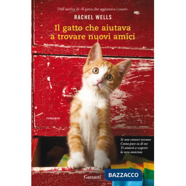 Gatto che aiutava a trovare nuovi amici (Il)