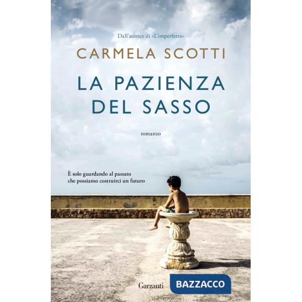 Pazienza del sasso (La)