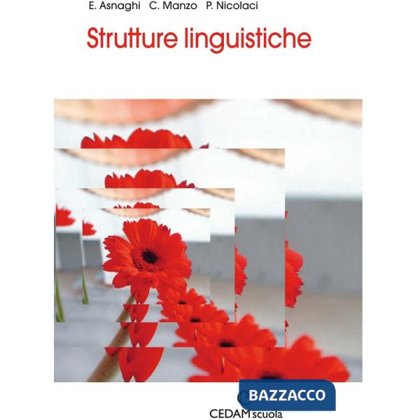 STRUTTURE LINGUISTICHE