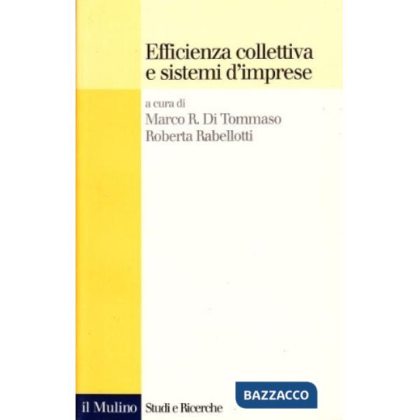 Efficienza collettiva e sistemi d'imprese. Oltre l'esperienza italiana