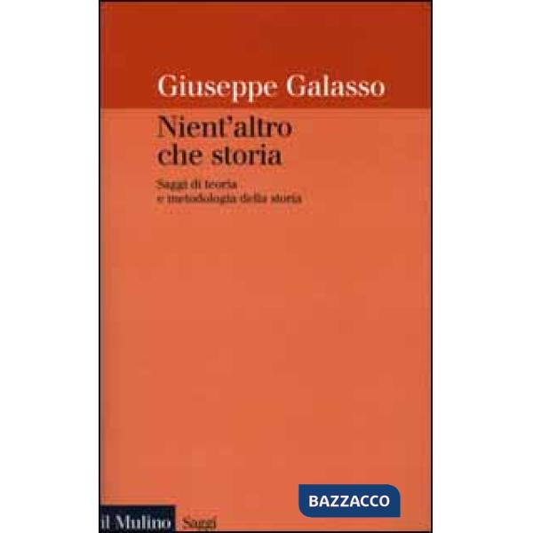 Nient'altro che storia. Saggi di teoria e metodologia della storia