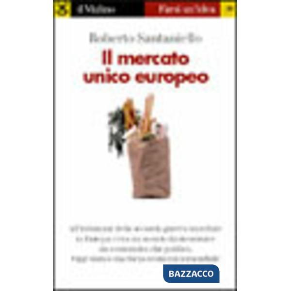 Mercato unico europeo (Il)