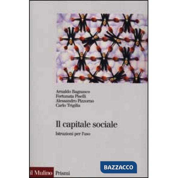 Capitale sociale. Istruzione per l'uso (Il)
