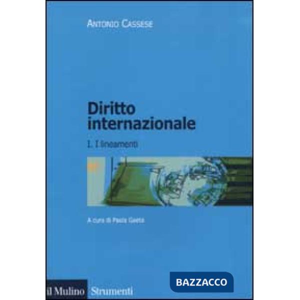 Diritto internazionale. Vol. 1: I lineamenti.