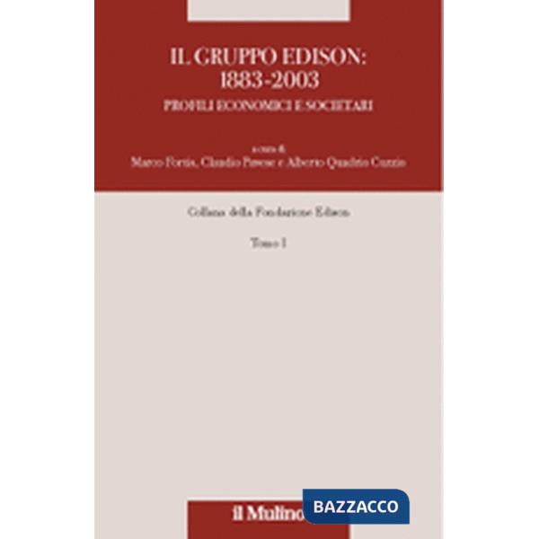 Gruppo Edison: 1883-2003. Profili economici e societari (Il). Vol. 1